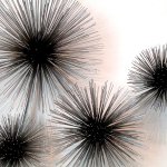 Close-up van de Urchin Chrome ... het 3D effect is fenomenaal ...