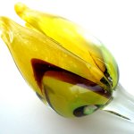 Close up van de gele tulp hiernaast op foto ... handmatig erg mooi uitgevoerd ...