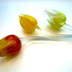Tulpen van glas in geel, geel/wit en geel/rode kleur -  L 50 cm - aanbieding van € 17,95 voor € 15,95 per stuk