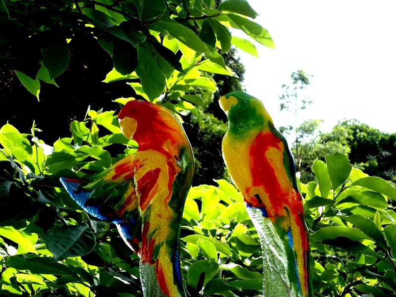 glasobjecten vogels papegaaien karbownik